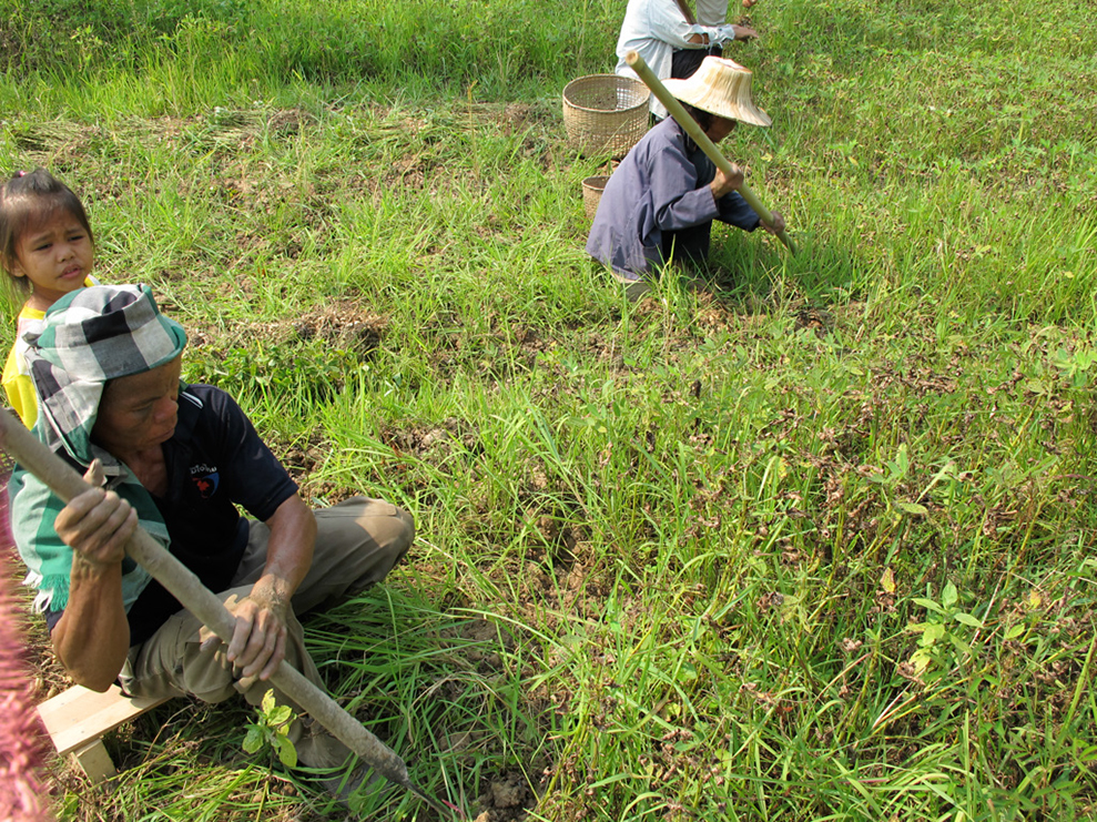 %_tempFileName04_26_12%20Thailand%20114%