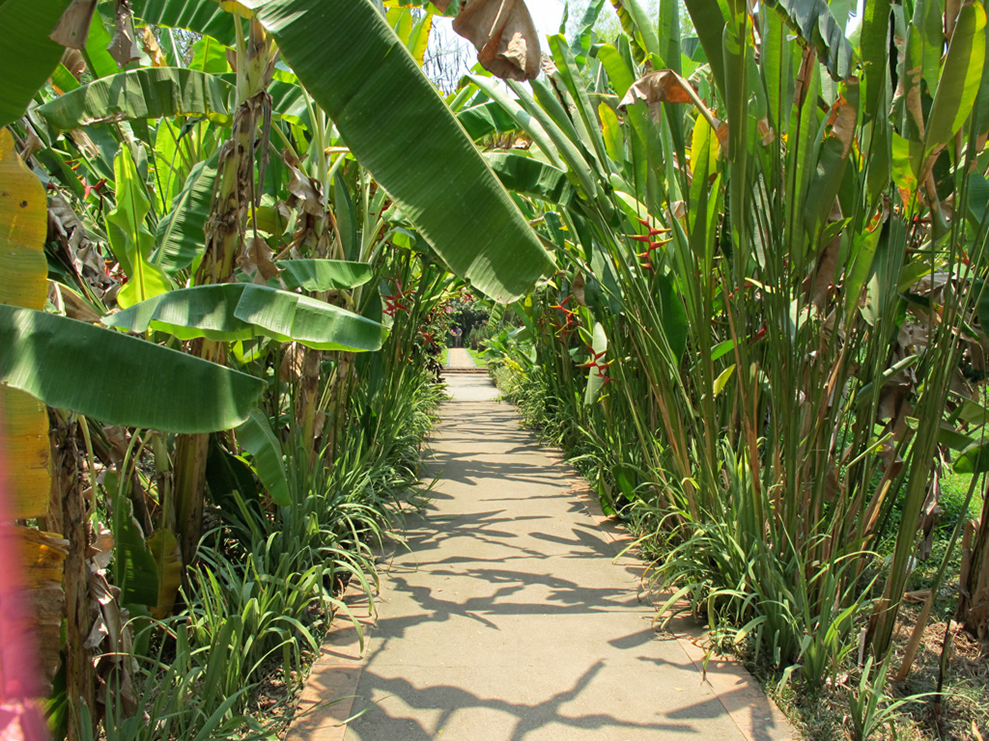 %_tempFileName04_26_12%20Thailand%20272%