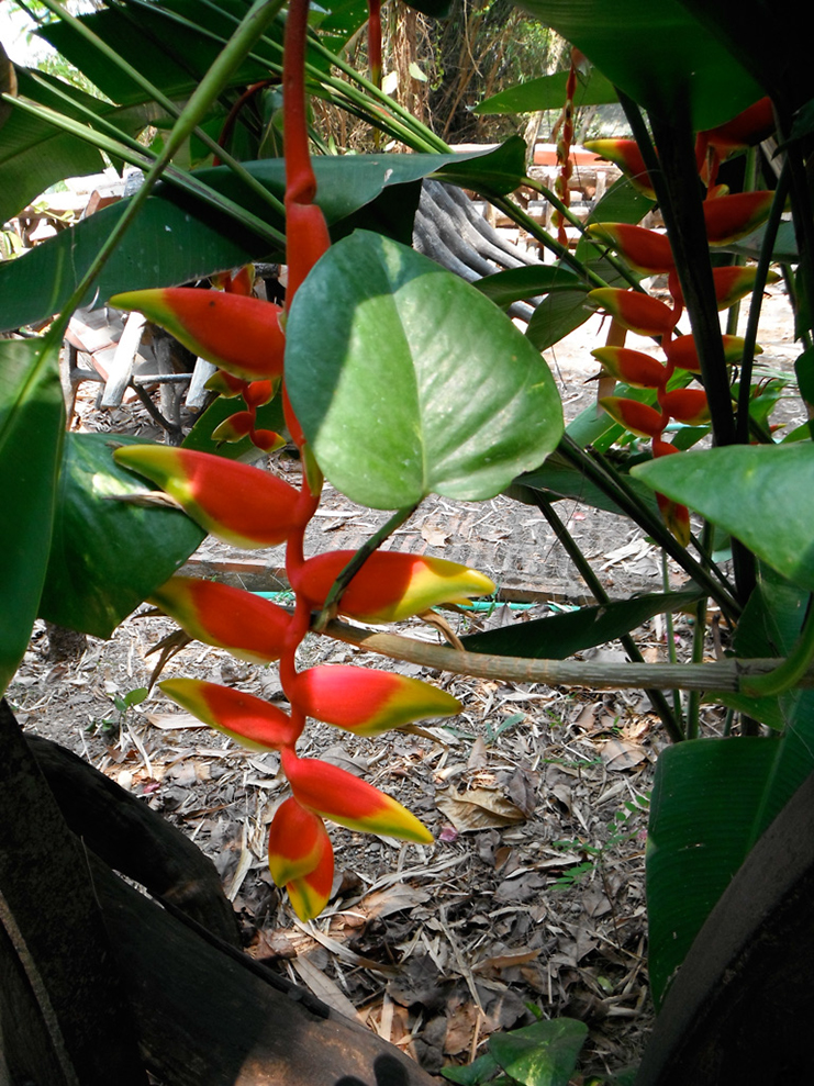 %_tempFileNameThailand%20April%2029_2012%20063%