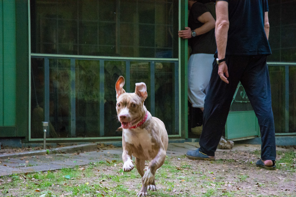 %_tempFileNameAyurveda%20Health%20Counselor-75%