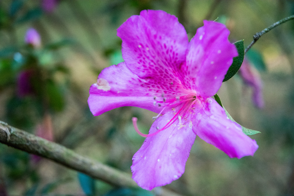 %_tempFileNameYoga%20Therapy%20Class-41%