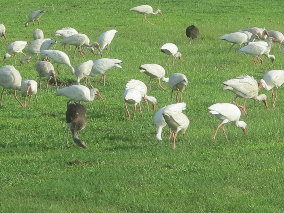 %_tempFileNameIMG_1617%