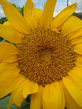 %_tempFileNamethai%20yoga%20fotos%20043%