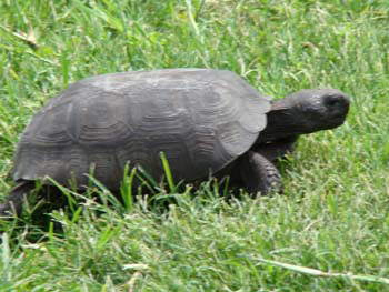 %_tempFileNamethai%20yoga%20fotos%20228%