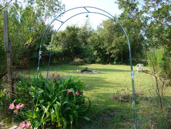 %_tempFileNamethai%20yoga%20fotos%20243%