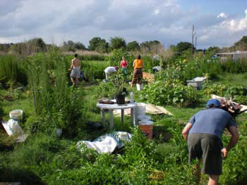 %_tempFileNamethai_yogaDSCN0848%