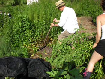 %_tempFileNamethai_yogaDSCN0851%