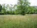 Field next to house