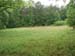 Open Field 1